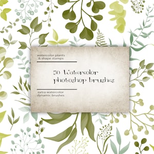 Plants, greens, flowers, floral decor, plant brushes, photoshop brushes, watercolor brushes, greenery for decor,  abr files, graphic design