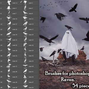 Raven, Brushes for photoshop. Crows, magpies, ravens. A flock of crows. A large set of brushes. Halloween. Photo decor.