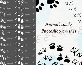 Animal Footprint Brushes: Procreate & Photoshop Stamp Set (Digital Download)