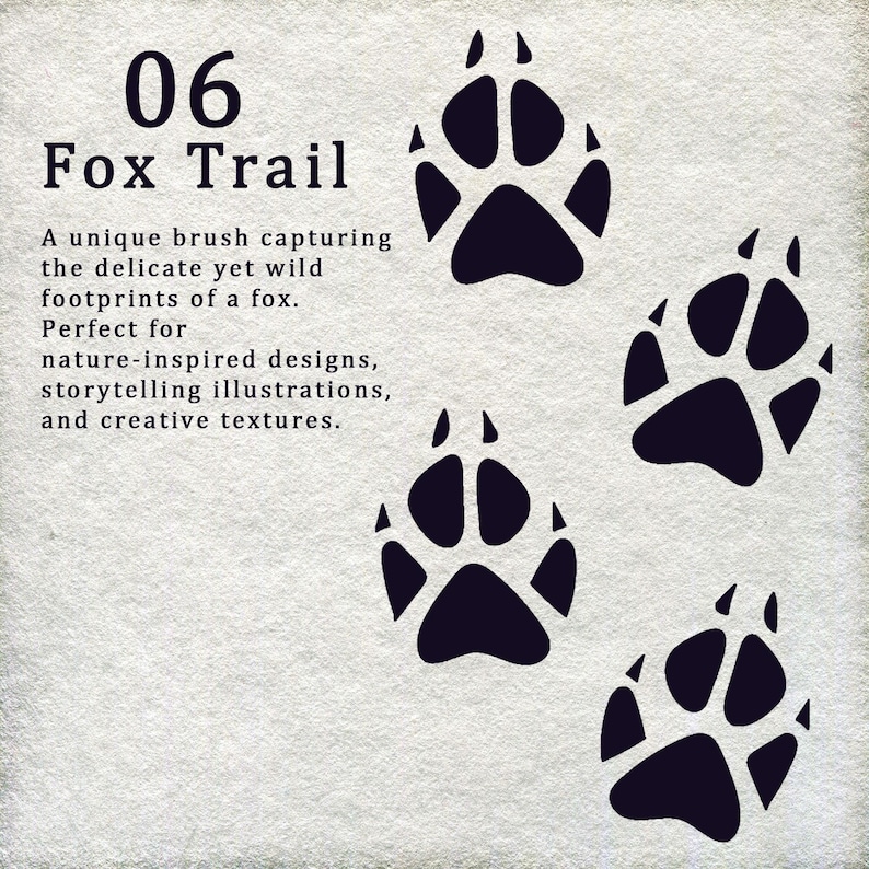 Animal Footprint Brushes: Procreate & Photoshop Stamp Set (digital ...