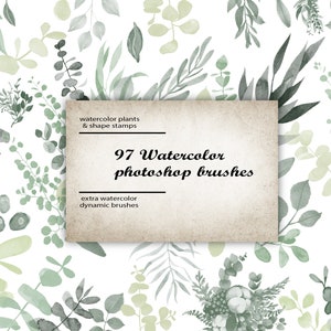 Plants, greens, flowers, floral decor, plant brushes, photoshop brushes, watercolor brushes, greenery for decor, abr files, plants png