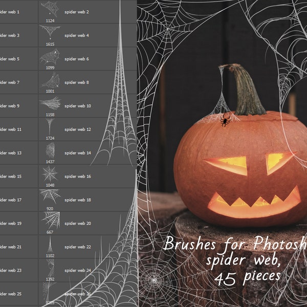 Pinsel für Photoshop-Spinnennetz, ABR-Spinnennetz, Dekor, Halloween, Spinne, Happy Halloween, Photoshop-Halloween-Stempel