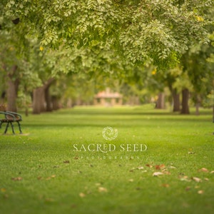 Puede incluir: Dos bancos de parque vacíos se enfrentan en un camino cubierto de hierba bordeado de árboles. El camino conduce a un fondo borroso de un cenador en la distancia. El texto "SACRED SEED PHOTOGRAPHY" está centrado en la parte inferior de la imagen.