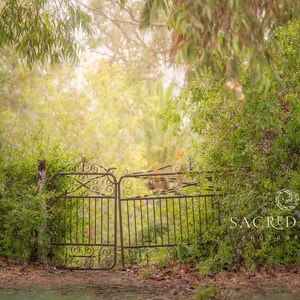 Old Metal Gate Digital Backdrop, Vintage Background, Maternity Outdoor , Rustic Farm Gate, Weathered Gate, Dreamy Bokeh Backdrop