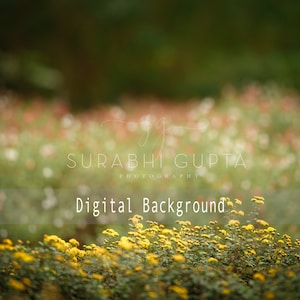 Yellow Wildflower Backdrop Overlay, Spring backdrop, Summer Digital Backdrop, Digital Background, Photoshop