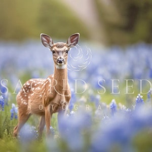 Cute young fawn in blue Flower Field, Spring backdrop with Deer, Summer Digital Backdrop, Digital Background, Photoshop