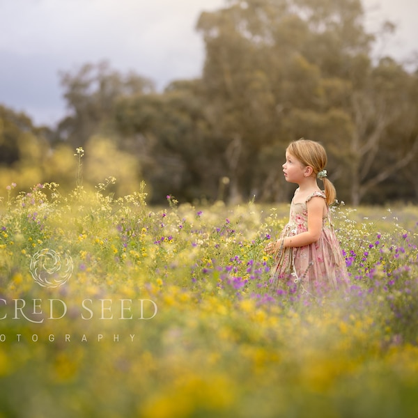 Australian Wildflower Backdrop Overlay, Spring flower backdrop, Summer Digital Backdrop, Digital Background, Photoshop