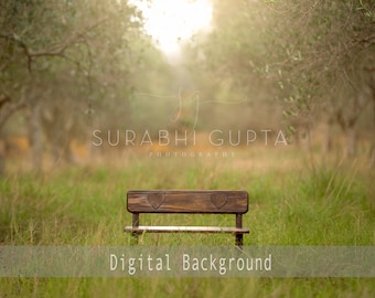 Olive Tree Farm Backdrop Photoshop Background Olive Orchard with Bench Prop