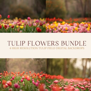 Multicoloured Tulips Backdrop Overlay, Bundle, Flowers, Spring backdrop, Summer Digital Backdrop, Digital Background, Photoshop