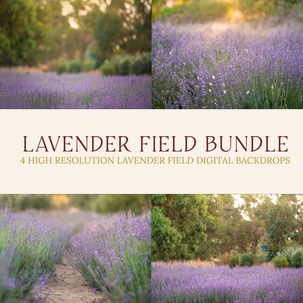 Lavender Backdrop Overlay, Purple Flowers, Spring backdrop, Summer Digital Backdrop, Digital Background bundle, Photoshop