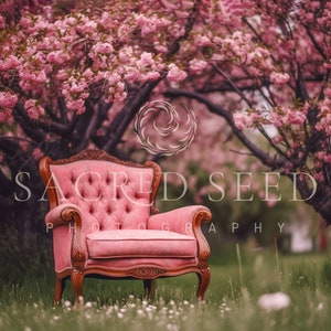 An Antique ChairUnder A Pink Blossom Tree, Spring backdrop, Summer Digital Backdrop, Digital Background, Photoshop