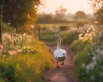 12 Geese Countryside, Goose Country Pathway Outdoor Spring Digital Background, Backdrop, Composite Photo Background, jpg instant download
