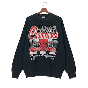 Rare! Vintage 1990s FRUIT Chicago Bulls Crewneck Long Sleeve Sweatshirt BigLogo Vintage NBA Center Division Champions 1993 Basketball Team