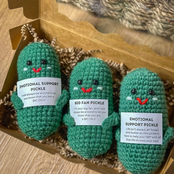 Emotional Support Pickle with Positive Affirmation, Pick Me Up, Crochet Pickled Cucumber, Gift for Coworker, Kind of A Big Dill