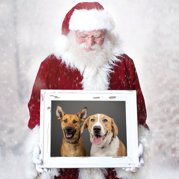 Virtuele kerstman foto's voor uw huisdieren!