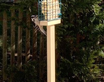 May include: A wooden bird feeder with a green wire cage filled with suet. A black and white woodpecker is perched on the feeder.