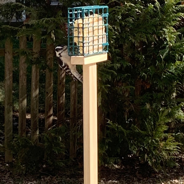 Squirrel Proof Bird Feeder Pole Etsy