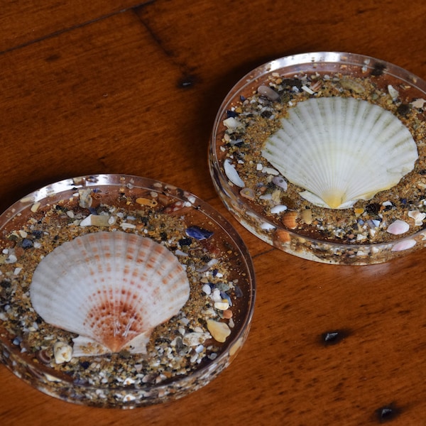 Seashell Coasters - Etsy