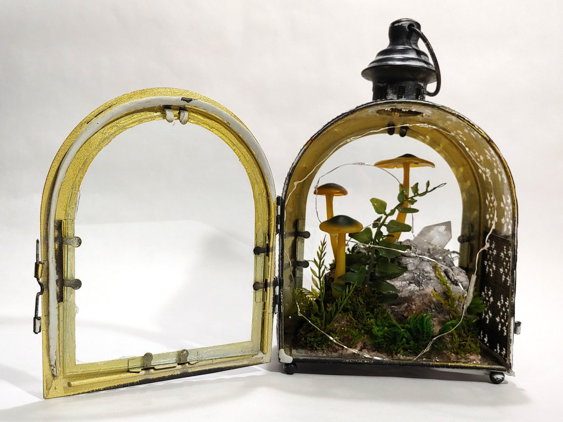 Jumping spider enclosure jumping spider home spider condo for Etsy