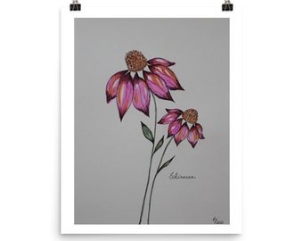 Coneflower (Echinacea) Poster - (Watercolor Print)