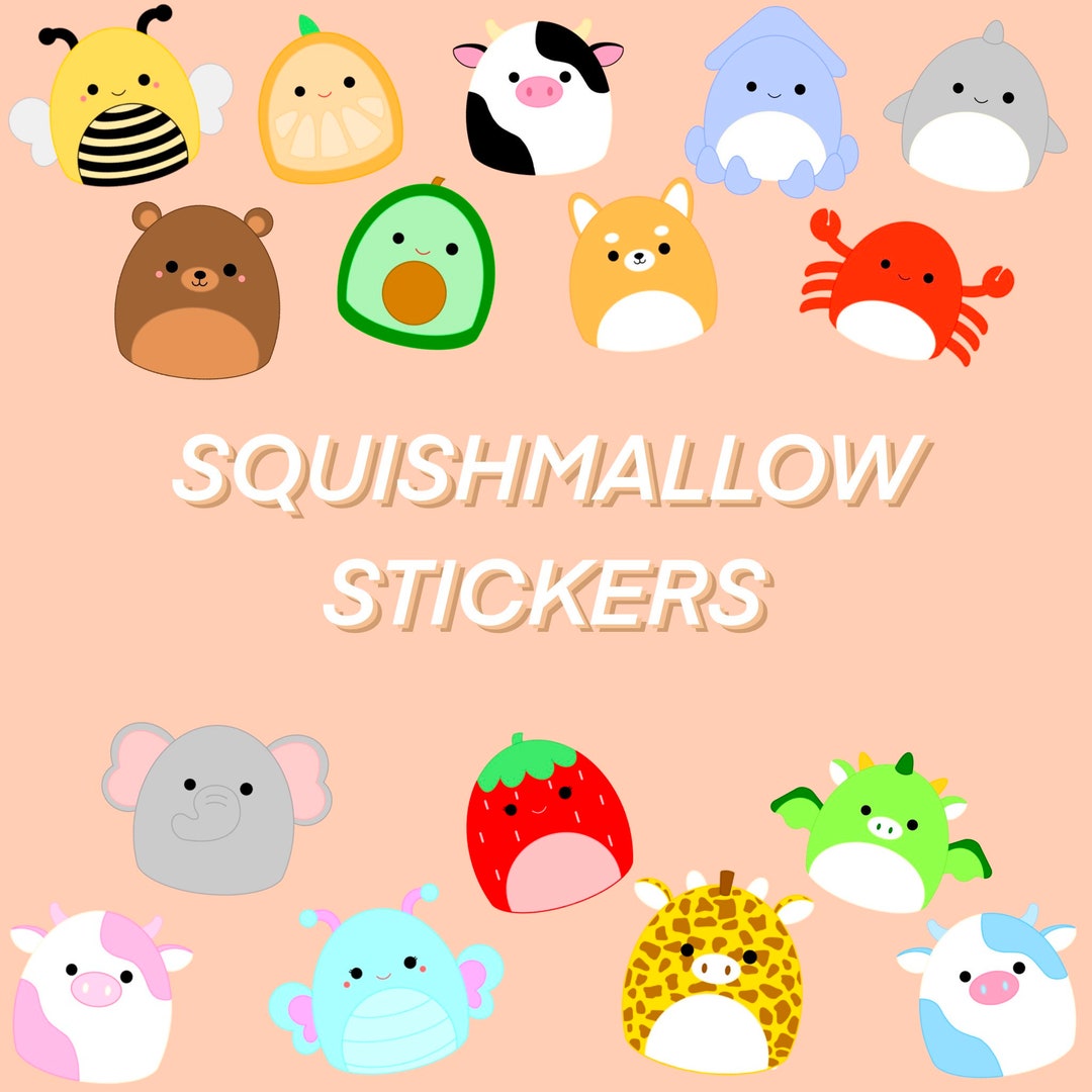 Squishmallow 30pc Sticker Set, Kids Stickers, Squishmallow Gift, Stocking  Stuffers 