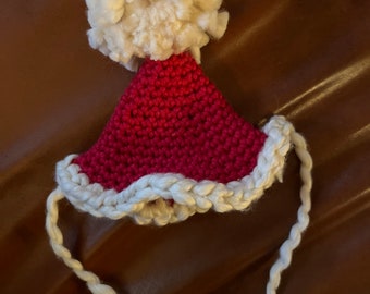 Santa Baby - Kitty Santa Hat