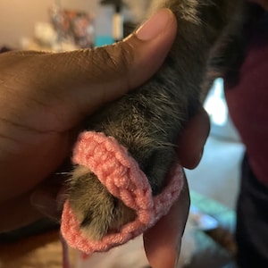 Kitty Slips - Cat Slippers