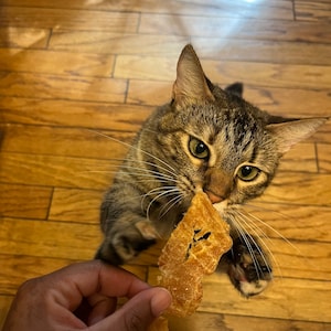 Organic Chicken Jerky - Dried Chicken Treats for Cats and Dogs, 2oz