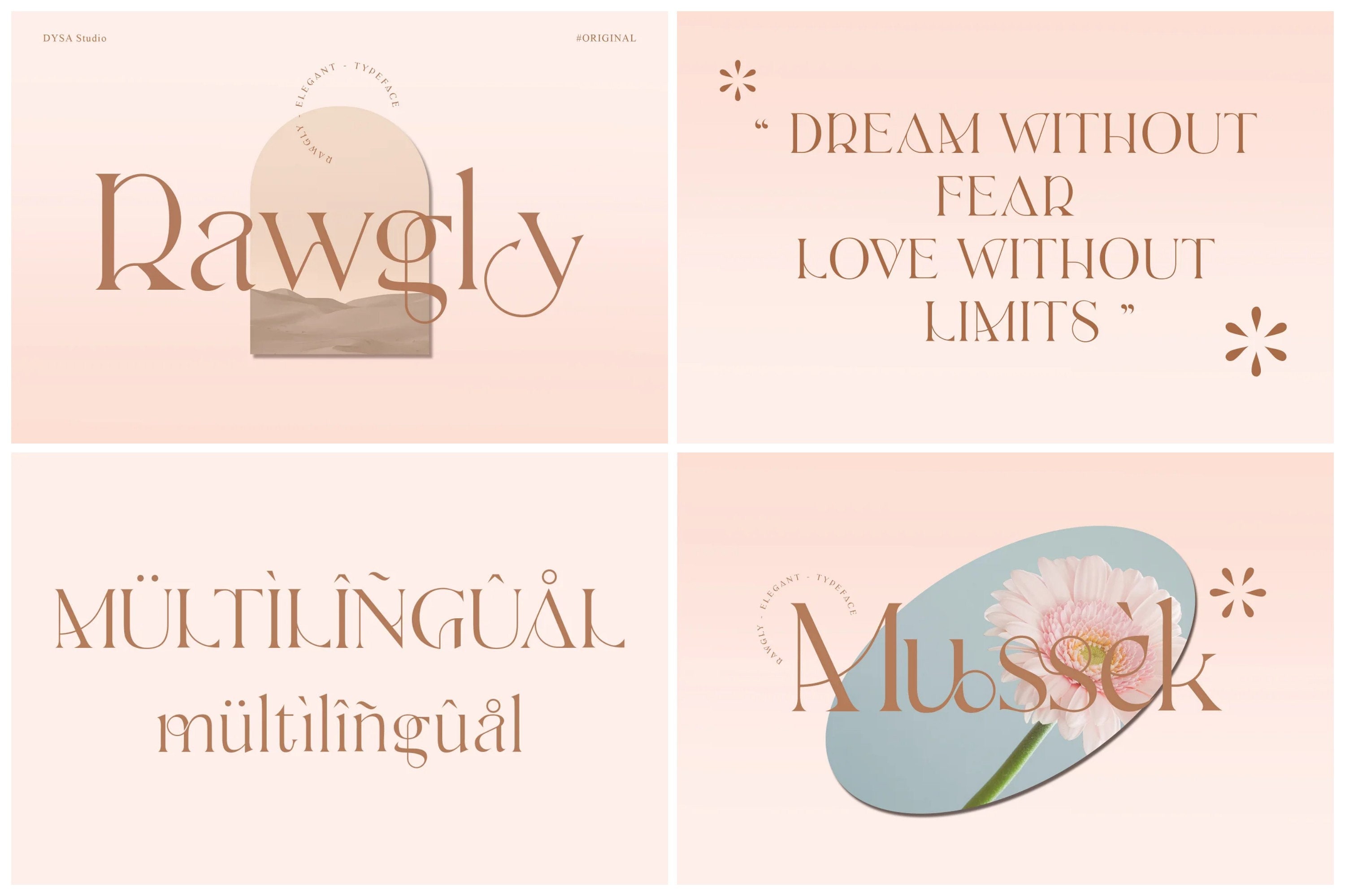 Exclusive Modern Font Bundle Serif Font, Branding Font, Font for ...