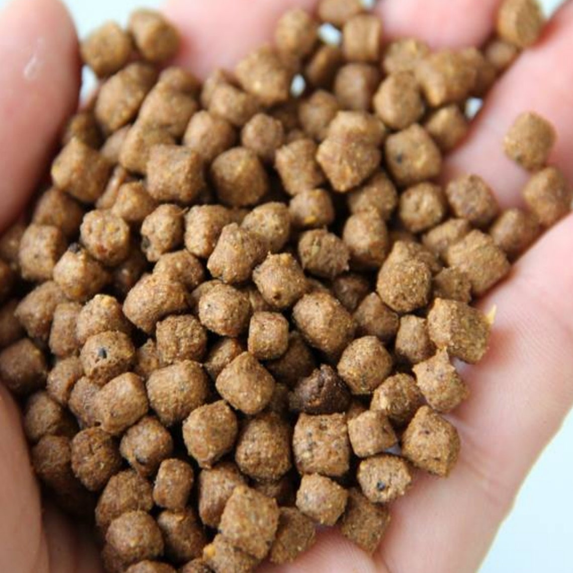Premium Grade Goldfish Catfish Pellets for Pond or Tank Etsy UK