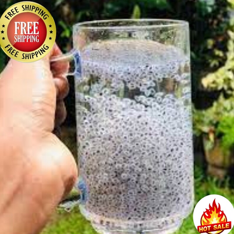 Basil Seeds Kus Kus Sabja Energy Drink Kasa Kasa Seeds Natural Etsy Ireland