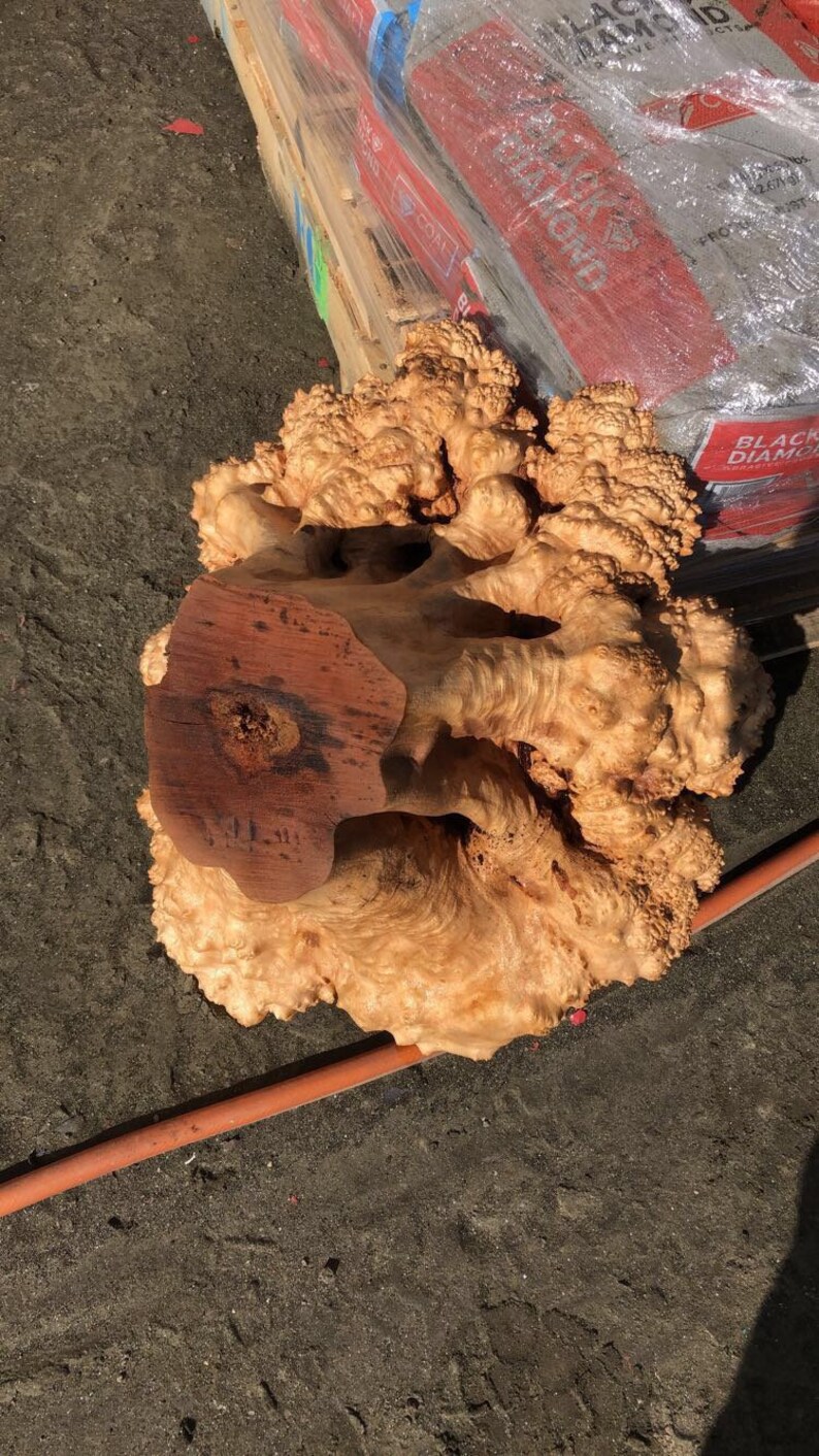 Wood Burl Etsy