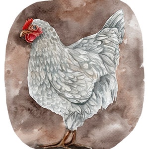 May include: Watercolor painting of a hen in shades of gray and white, with a red comb and wattle. The hen is standing on brown legs against a brown, oval-shaped background. The artwork has a rustic, farm-inspired theme.