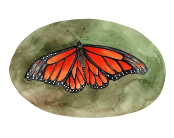 Butterfly Life Cycle | Butterfly Life Cycle | Caterpillar | Montessori | Life Cycles | Homeschool | Real Insect | Butterflies | Pre School