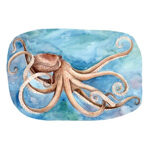 Octopus Odyssey: A Journey Through Life Stages