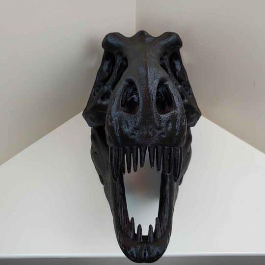 largest trex skeleton