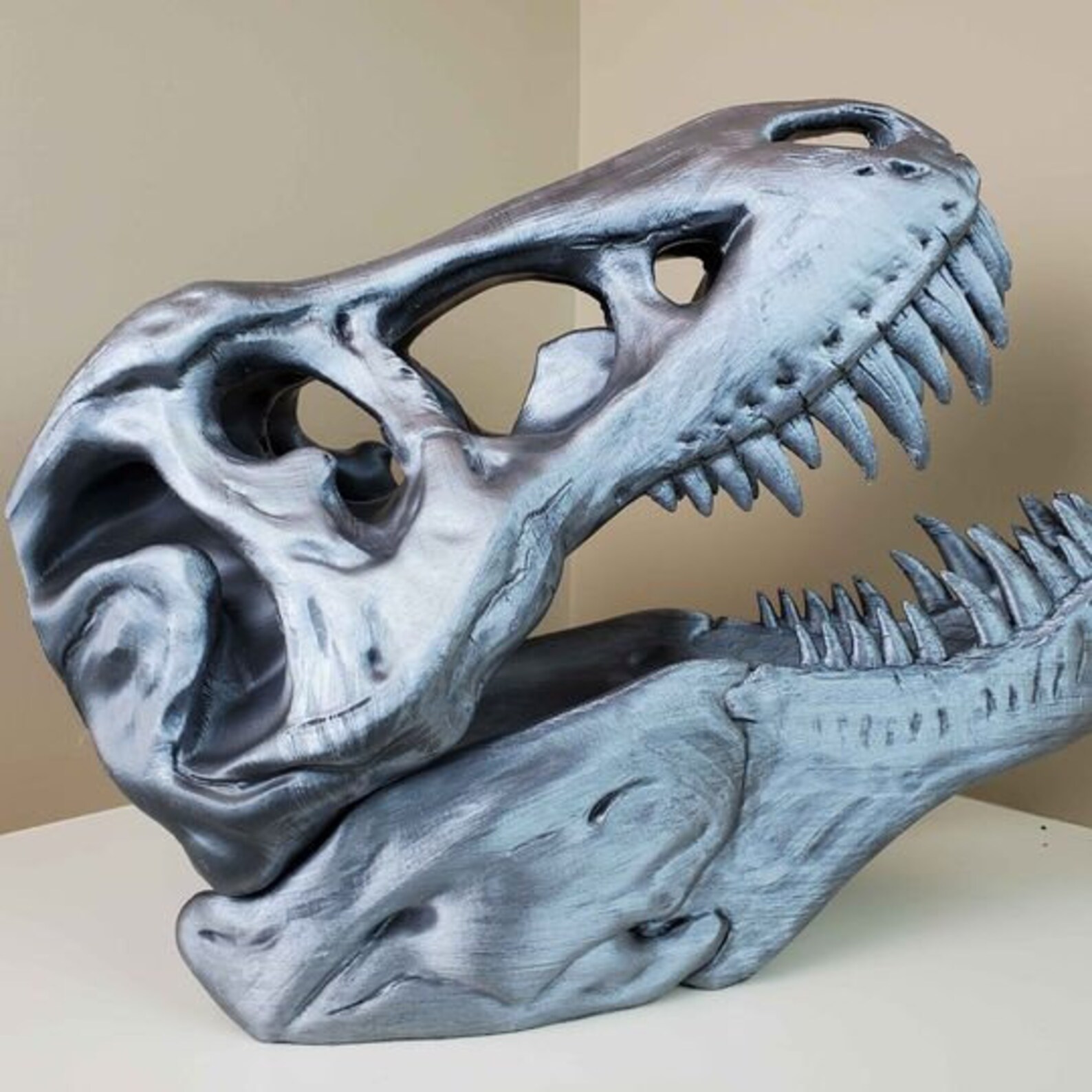 large t rex skull