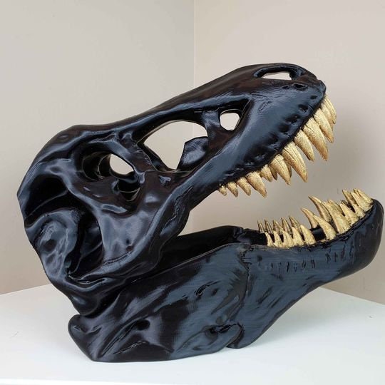 black t rex size