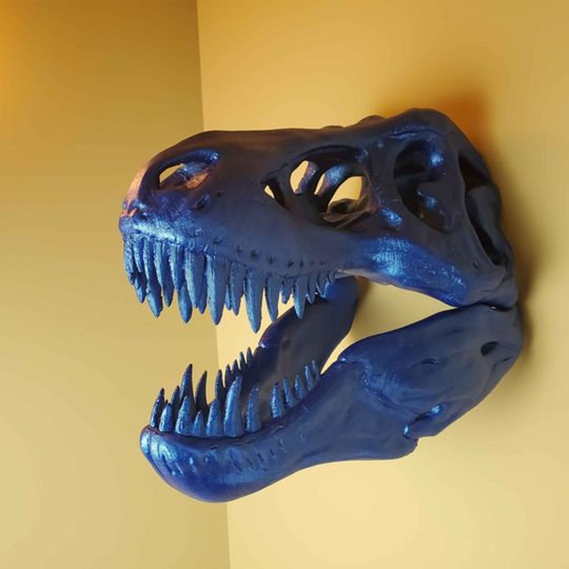 large t rex skull