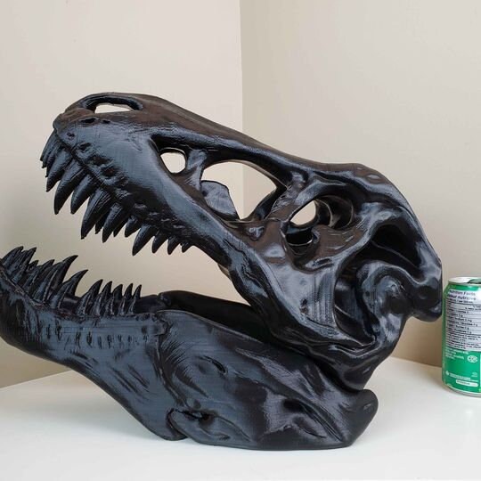 Super Extra Large Black T-Rex Skull The Largest TRex Skull | Etsy