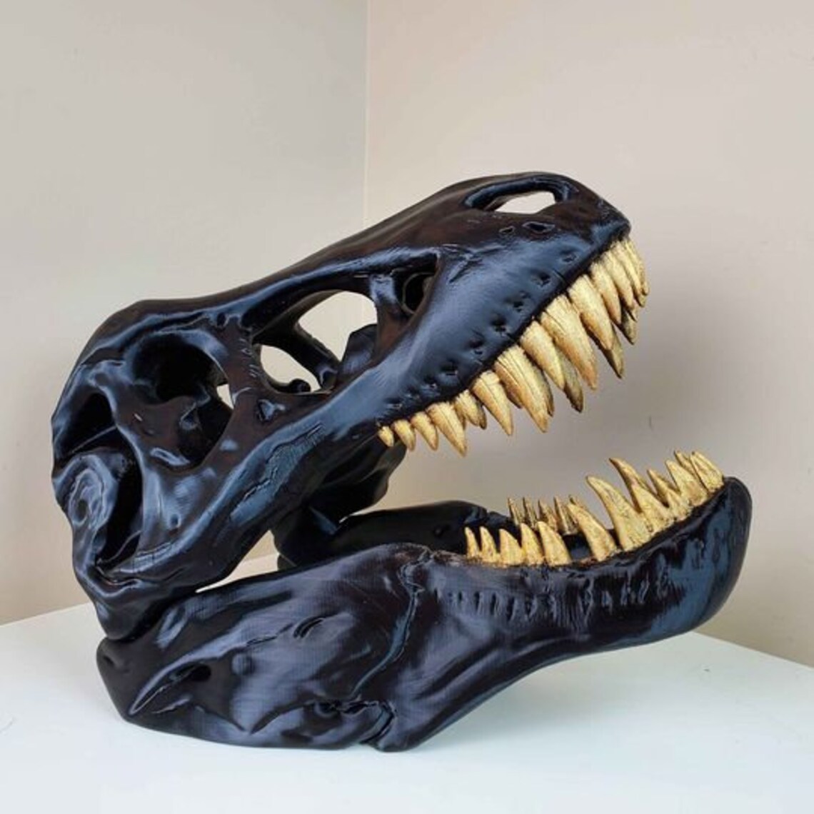 large t rex skull