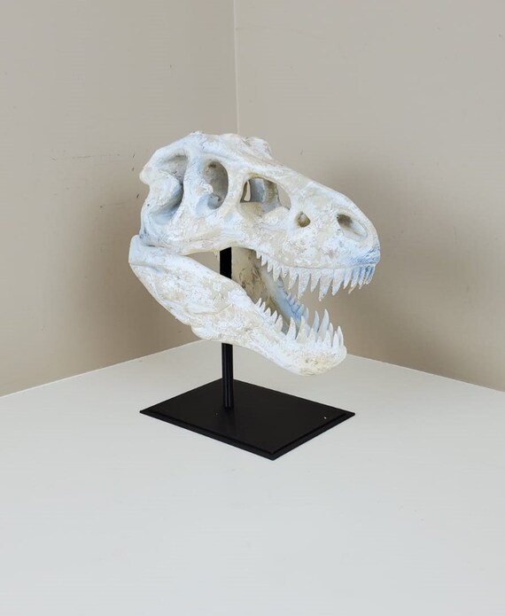 Art & Collectibles Art Objects Sculpture TRex Skull Wall Art