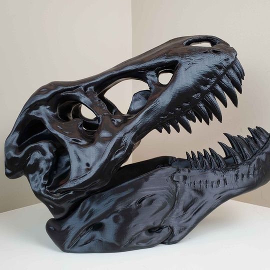 largest trex skeleton