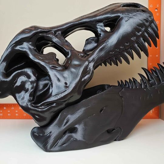 Super Extra Large Black T-Rex Skull The Largest TRex Skull | Etsy