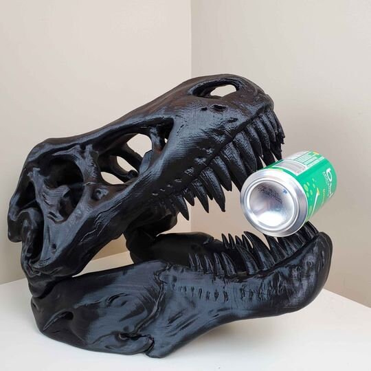largest trex skeleton