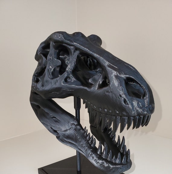 Dinosaur Ornament Replica Fossil T.Rex Skull Jurassic Park 