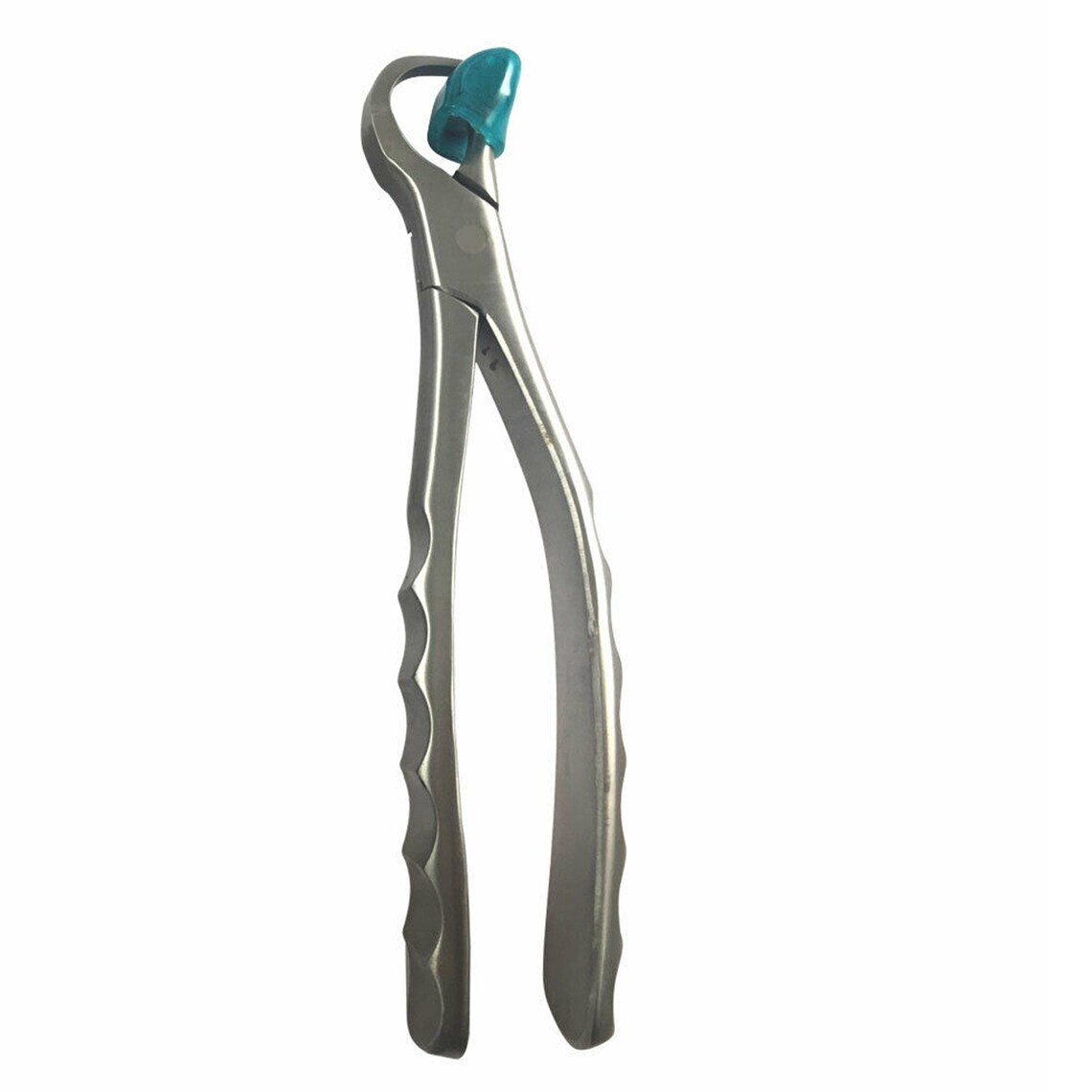 YSCARE Dental Physics Tooth Extraction Pliers Standard Series Etsy