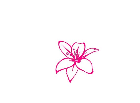 Lily Vinyl Decal | Etsy