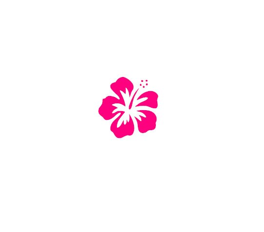 Decus Autocollant Vinyle Fleur Hibiscus Hawaiian - Style JDM - Résistant UV Et Lavage - Transfert Décoratif