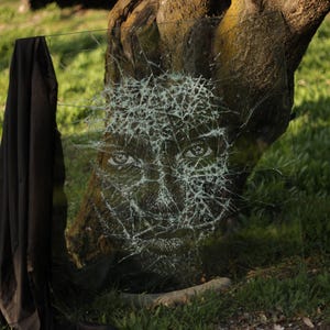 May include: A close-up of a tree trunk with a face drawn on a piece of glass that has been broken into a spiderweb pattern. The glass is leaning against the tree trunk and is partially obscured by a black cloth.